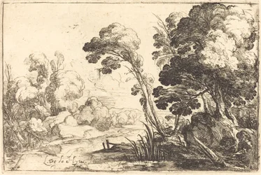 Paysage boisé avec une rivière