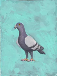 Pigeon vers 2023 (acrylique sur toile)