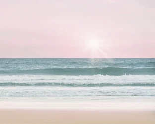 Plage rose, c.2017