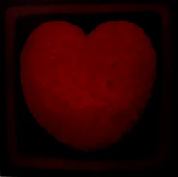 Grand amour, 2021