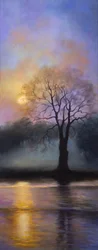 Crépuscule à Bushy Park, 2016
