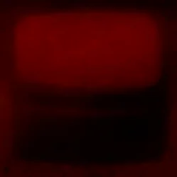 Velours et Feu