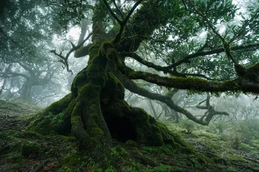 Terre oubliée, 2025 (photo)