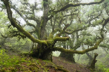 Forgotten Land III, 2025 (photo)