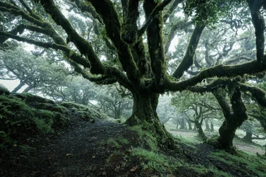 Terre oubliée II, 2025 (photo)