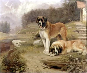 Deux Saint-Bernard dans un paysage alpin