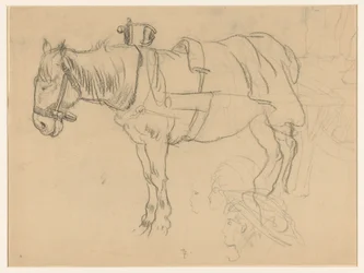 Cheval attelé et études de tête