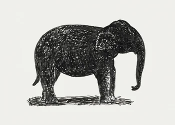 Elephant (vers 1891–1941)