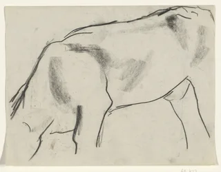 Vache broutant