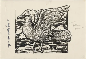 Mouette