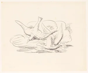 Deux mouettes