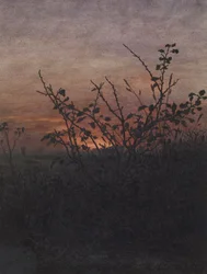 Prunellier (?) devant un paysage au coucher du soleil