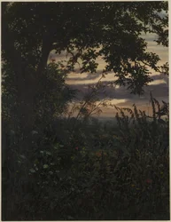 Paysage au coucher du soleil
