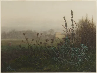Paysage rural