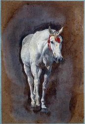 Un cheval (dessin)