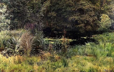 Paysage avec Roseaux
