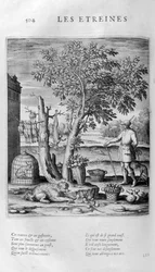 Les Étrennes, cadeau, 1615