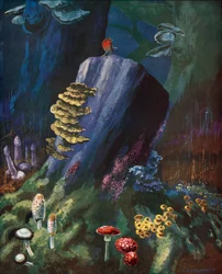 Espèces de champignons (lithographie couleur)