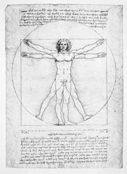 Les proportions de la figure humaine (d