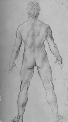 Un homme nu vu de dos, vers 1480 1945