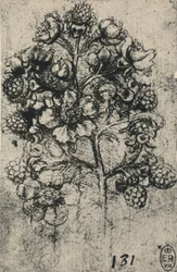 Une branche de ronces, vers 1480, 1945