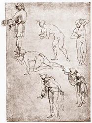 Adoration des bergers, c1478-1480