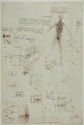 Études anatomiques