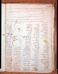 Codex Trivulziano de Léonard de Vinci (1452-1519) - Bibliothèque Trivulziana, Milan