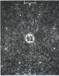Détail du plafond voûté de la Sala delle Asse avec un design de pergola géométrique, vers 1498