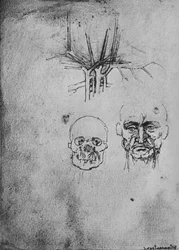 Dessin montrant la position des vaisseaux sanguins dans le cou et le visage, vers 1480 1945