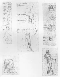 Cinq dessins illustrant la théorie des proportions de la figure humaine, vers 1472-1519 1883