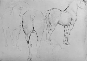 Quatre esquisses de chevaux, vers 1480