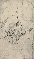 Profil grotesque d