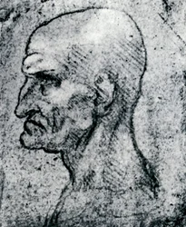 Tête d