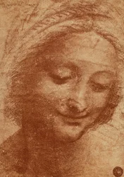 Tête de femme ou de Sainte Anne (dessin de Léonard de Vinci)