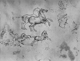 Études de chevaux au galop et une tête