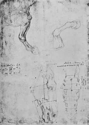 Études des avant-bras des chevaux et dessins mesurés des têtes de chevaux, vers 1480, 1945