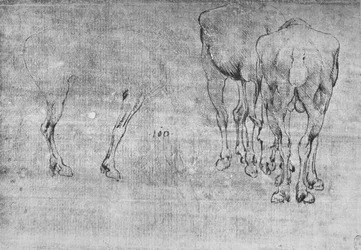 Études de chevaux broutant, vers 1480 1945