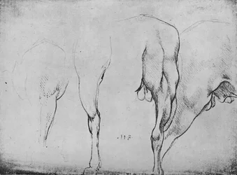 Études de jambes de chevaux, vers 1480 1945