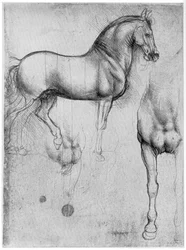 Études de Chevaux, vers 1490 1954