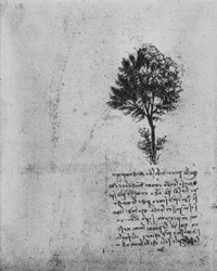 Étude d