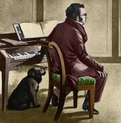 Portrait du compositeur autrichien Franz Schubert