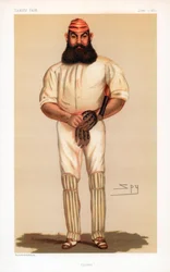 Cricket, 1877