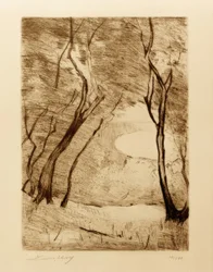 Arbres au bord du Grunewaldsee