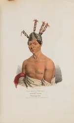 WAA-KAUN-SEE-KAA ou le serpent à sonnettes ; un chef Winnebago, extrait du Portfolio autochtone