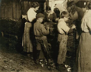 Jimmie, 10 ans, qui épluche depuis 3 ans (6 pots par jour) avec un garçon de 11 ans qui épluche 7 pots à Varn und Platt Canning Co., Bluffton, Caroline du Sud, 1913
