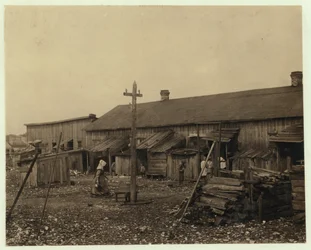 Logements pour environ 50 employés de la Maggioni Canning Co., Port Royal, Caroline du Sud, entourés de marais et situés sur un ancien amas de coquillages, 1912