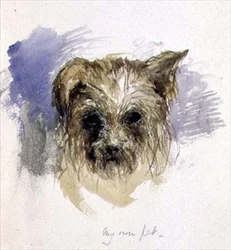Mon chien de compagnie
