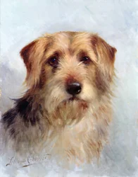 Un des membres de la famille