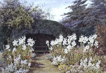 Lys de Pâques dans le Jardin